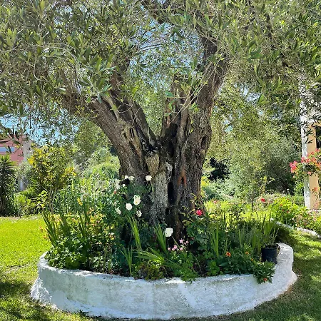 Apartman Petros Moraítika